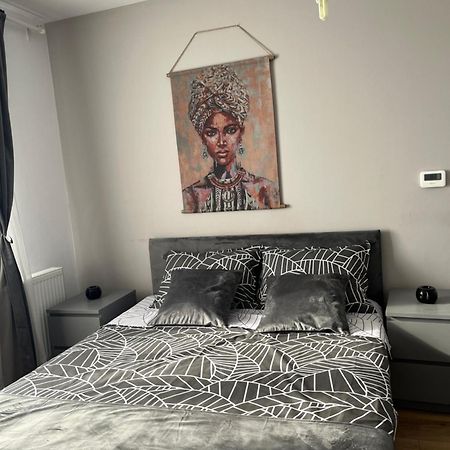 Apartament Acasa Sibiu Bagian luar foto