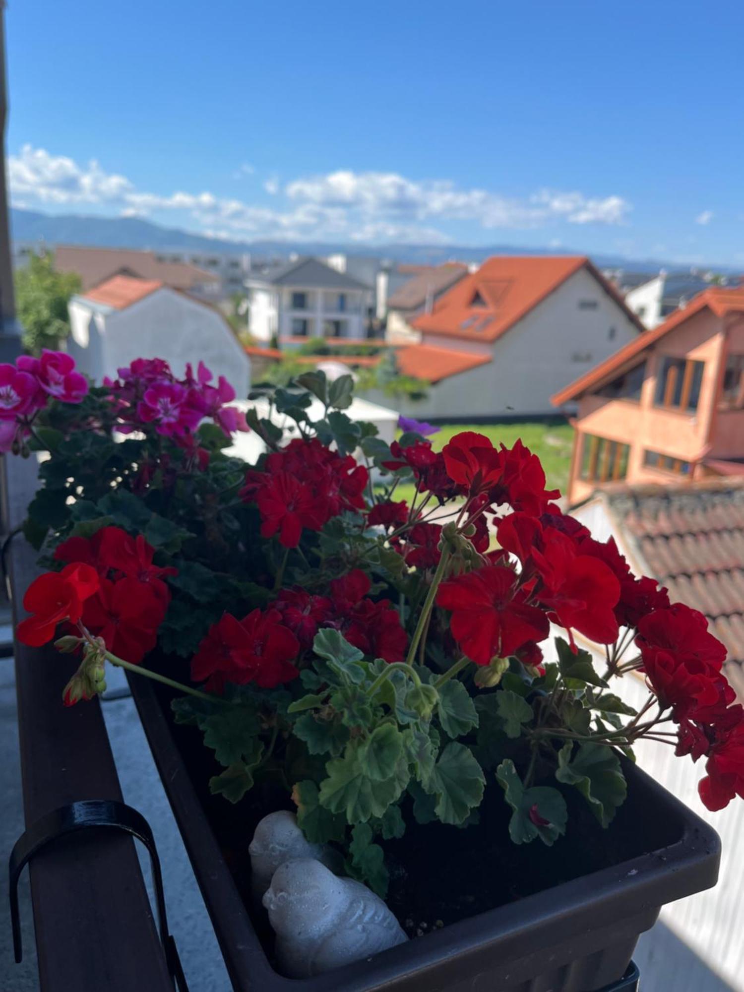 Apartament Acasa Sibiu Bagian luar foto